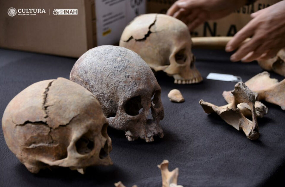 ANÁLISIS ANTROPOFÍSICO DE MÁS DE 100 RESTOS ÓSEOS DA TESTIMONIO DE LA VIDA PREHISPÁNICA EN TERRENOS DEL AIFA