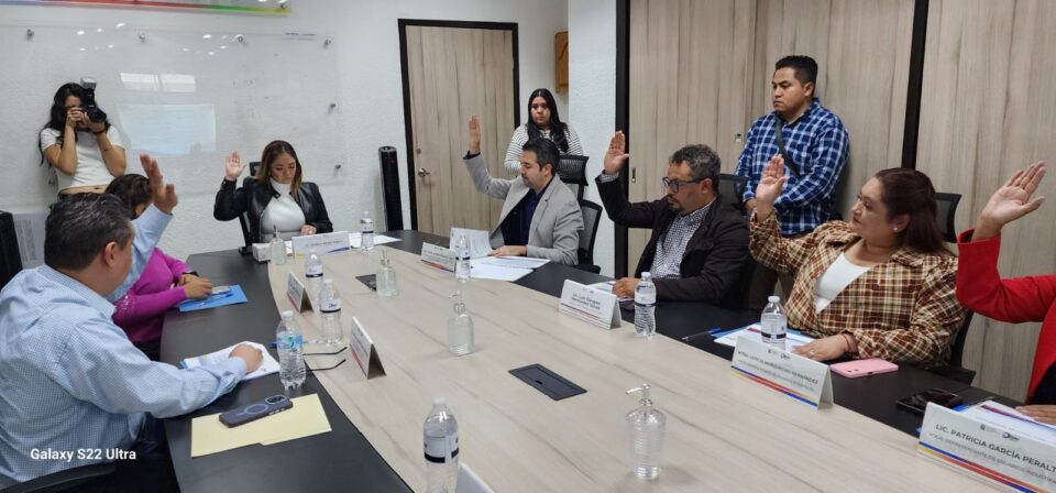 WhatsApp Image 2024-08-09 at 17.53.03