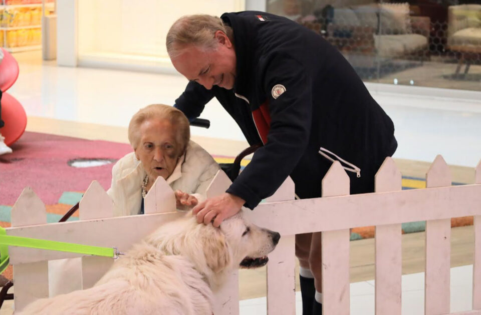 MÁS DE 130 LOMITOS DE “HUIXQUICAN” HAN ENCONTRADO UN HOGAR Y UNA FAMILIA AMOROSA