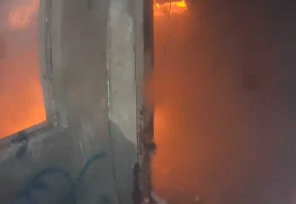 BOMBEROS RESCATAN A PERRITO AMARRADO DURANTE UN INCENDIO