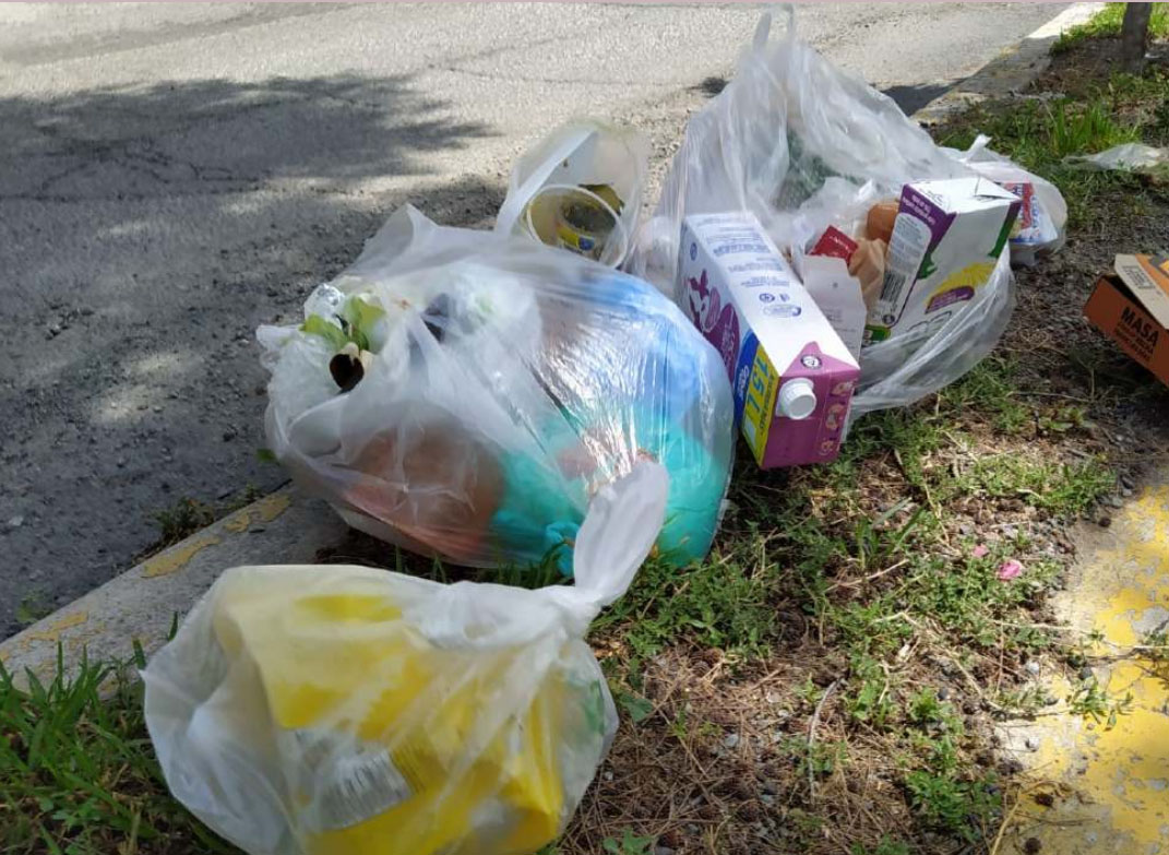 TRABAJO COMUNITARIO A QUIEN TIRE BASURA EN SITIOS NO AUTORIZADOS