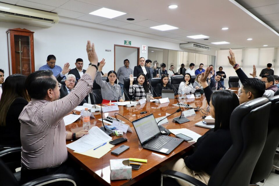 WhatsApp Image 2025-02-01 at 16.52.08