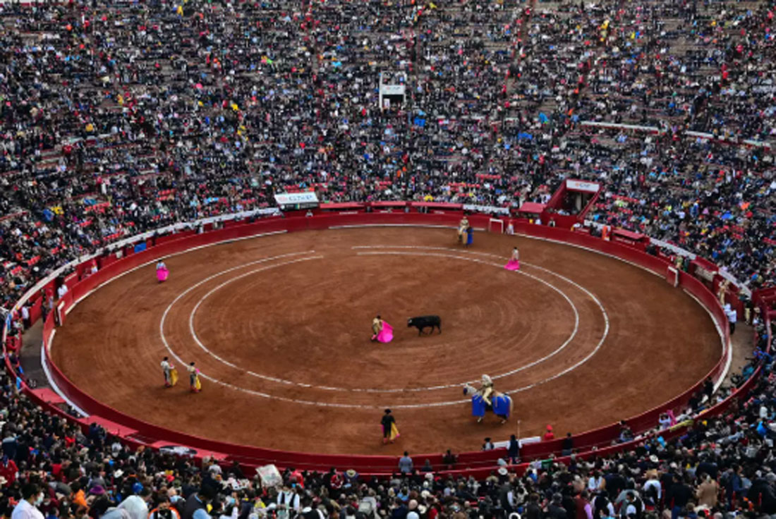PROHÍBEN LAS CORRIDAS DE TOROS CON VIOLENCIA EN LA CDMX