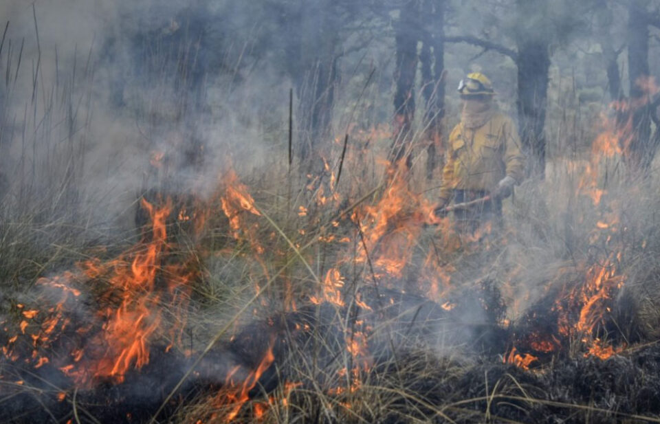 ¡HASTA 10 AÑOS DE CÁRCEL! POR PROVOCAR INCENDIOS FORESTALES EN EDOMEX