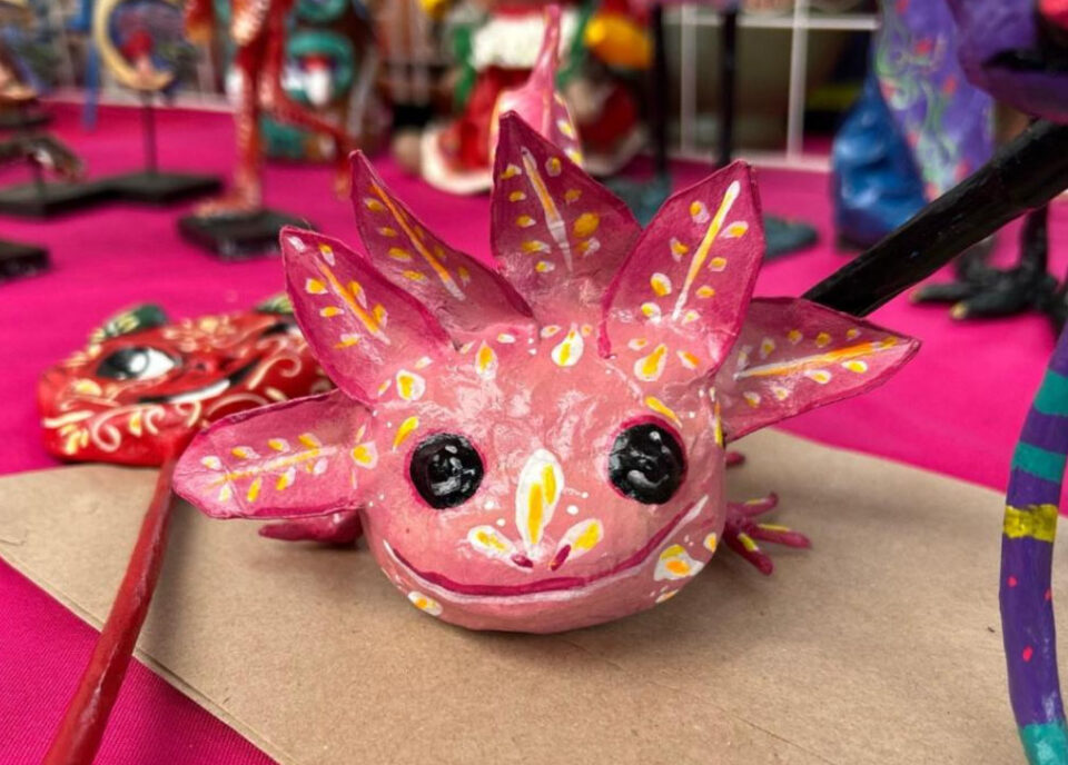 cartonería y arte en papel Edomex