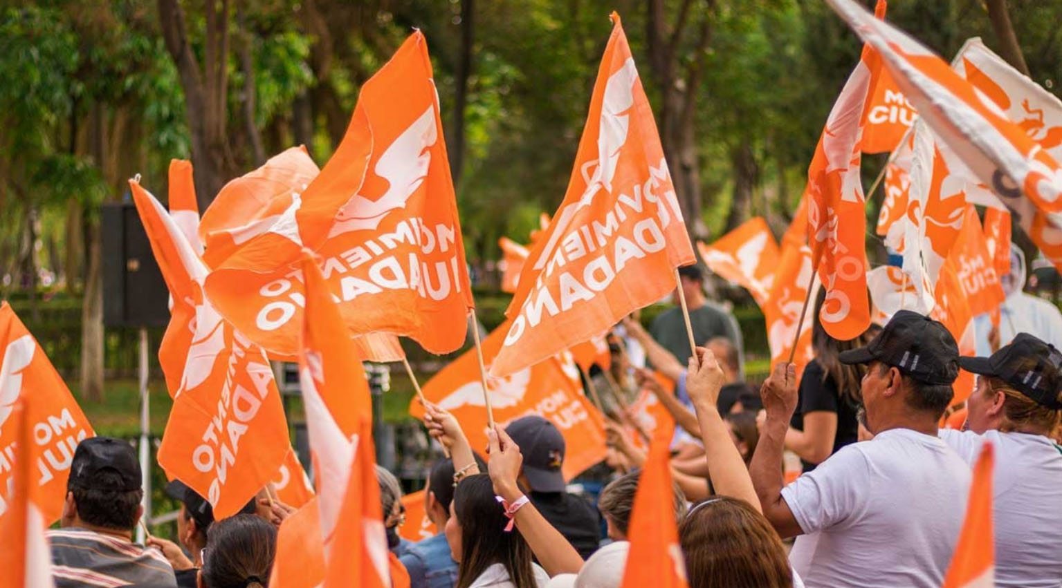 estela sánchez movimiento ciudadano veracruz