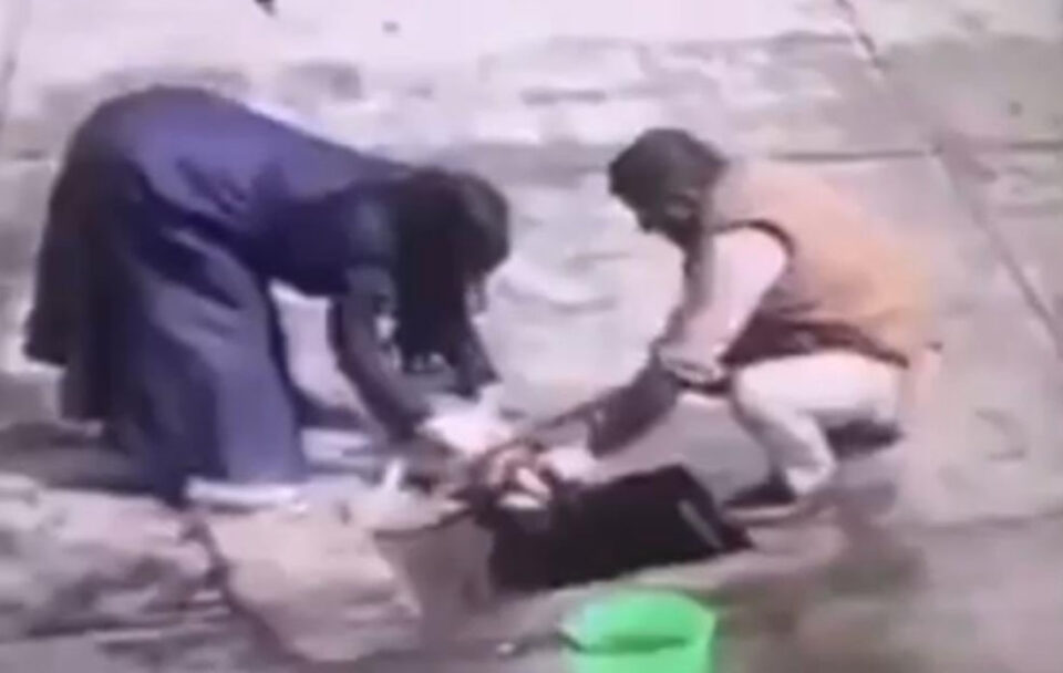 centro protección animal ixtapaluca