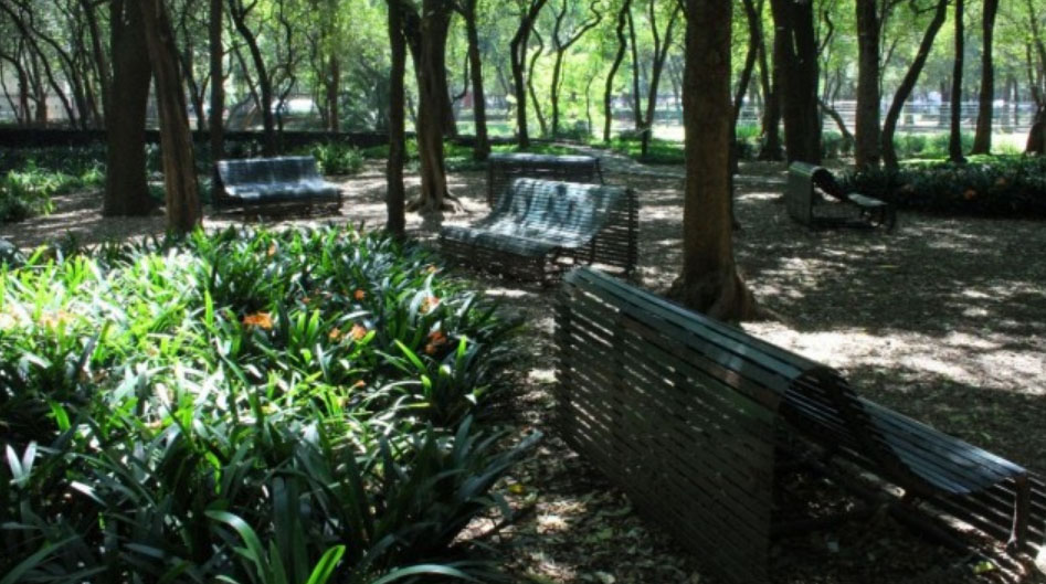 niño solo en chapultepec