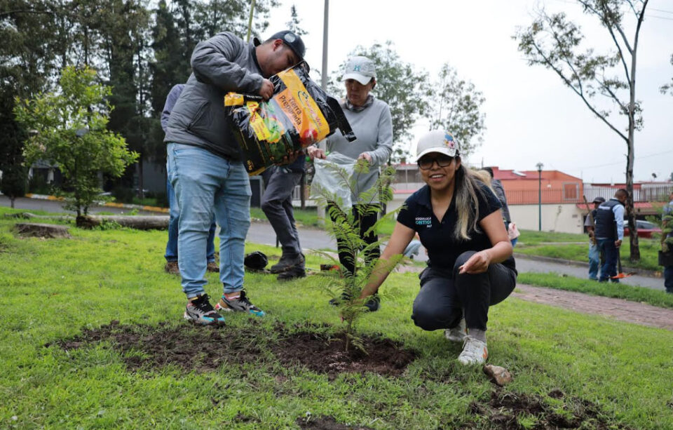 Huixquilucan avanza en reforestación y protección de áreas naturales