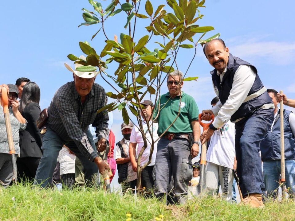 Gobierno de Pedro Rodríguez impulsa reforestación con la plantación de 10 mil árboles