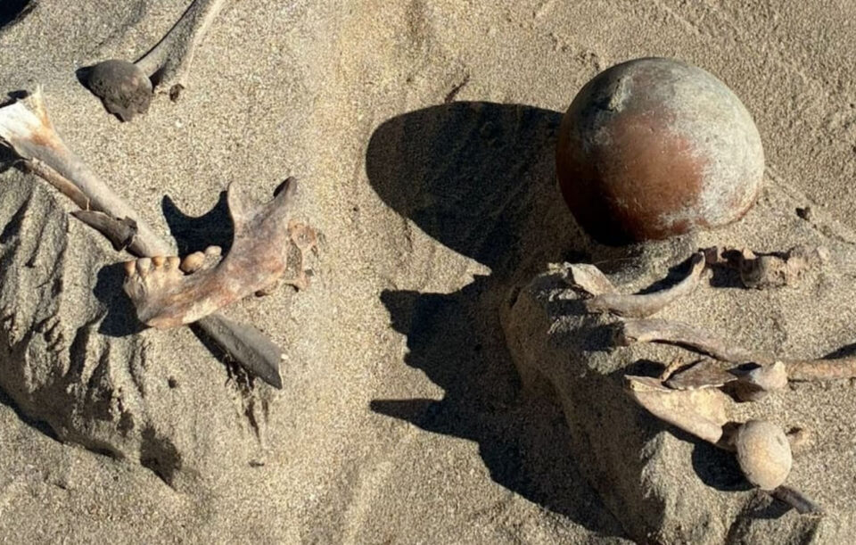 arqueologos-recuperan-entierro-prehispanico-en-sonora Arqueólogos recuperan entierro prehispánico en Sonora