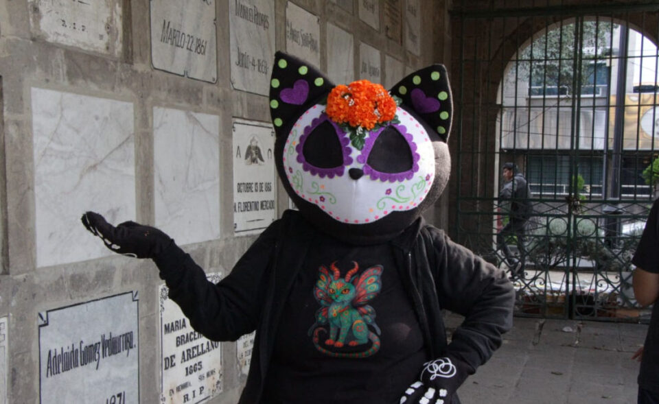 cierra-con-exito-el-festival-gatotitlan-en-el-panteon-san-fernando Cierra con éxito el Festival “Gatotitlán” en el Panteón San Fernando