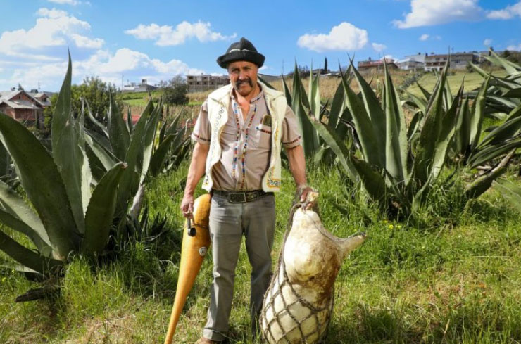 impulsan-a-artesanos-del-pulque-con-nuevos-puntos-de-venta-en-el-edomex Impulsan a artesanos del pulque con nuevos puntos de venta en el Edoméx