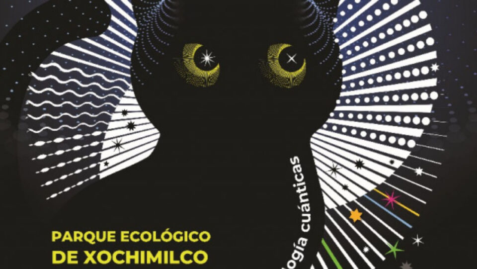 xochimilco-prepara-experiencia-magica-para-la-noche-de-las-estrellas-2025 Xochimilco prepara experiencia mágica para la Noche de las Estrellas 2025