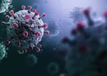 Confirman el primer caso de influenza A H3N2 en México