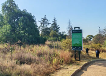 Macabro hallazgo en Iztapalapa: cuerpo colgado en el Cerro de la Estrella